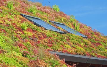 Dagtail End living roof systems