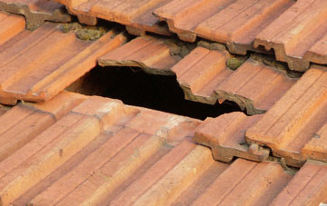 roof repair Dagtail End, Worcestershire