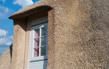 Dagtail End thatch roof disadvantages